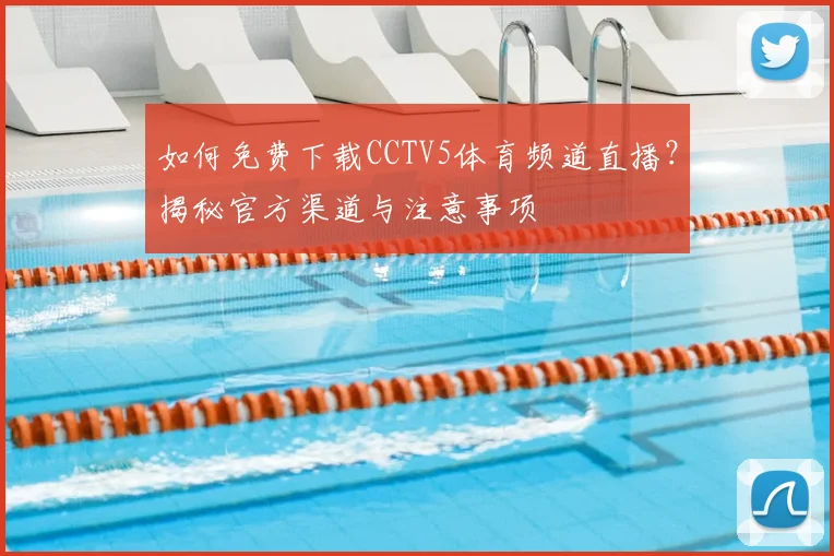 如何免费下载CCTV5体育频道直播？揭秘官方渠道与注意事项