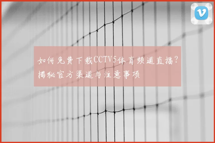 如何免费下载CCTV5体育频道直播？揭秘官方渠道与注意事项
